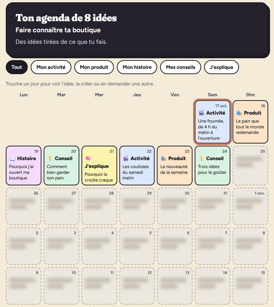 L’agenda d’un compte Pro : un calendrier, huit jours remplis d’une idée de reel avec sa couleur (activité, produit, histoire, conseil, j’explique), les autres jours encore floutés